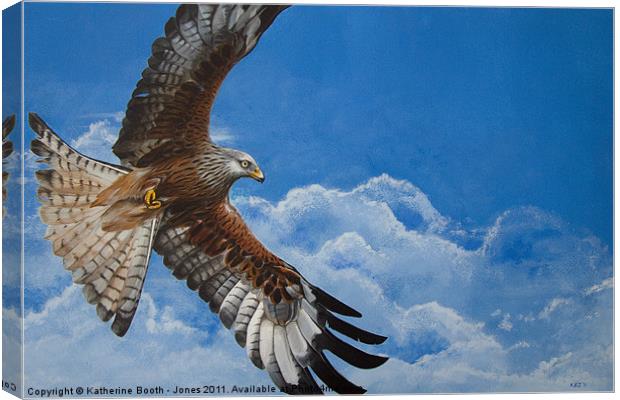 Red Kite Canvas Print by Katherine Booth - Jones