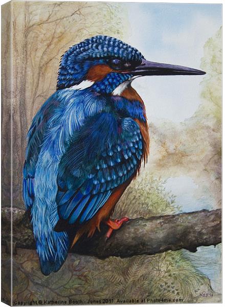 Kingfisher Canvas Print by Katherine Booth - Jones