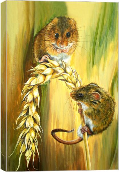 Harvest Mice Canvas Print by Katherine Booth - Jones