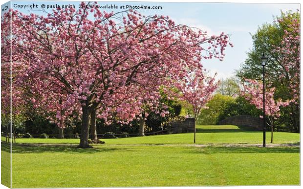 Harrogate in Bloom Canvas Print by paula smith