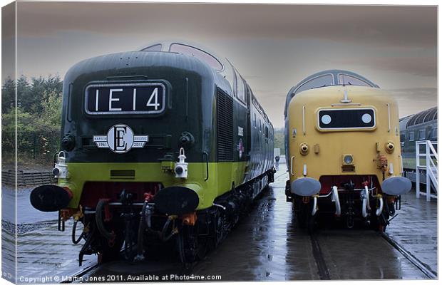 Deltics Canvas Print by K7 Photography