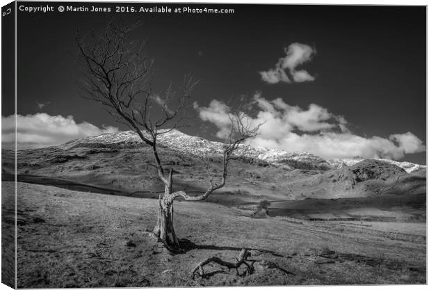 The Old Man of Coniston Canvas Print by K7 Photography