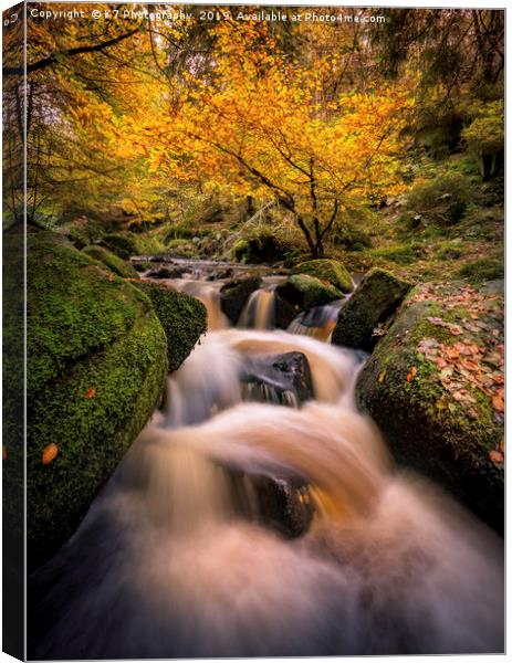 The Wyming Brook Canvas Print by K7 Photography