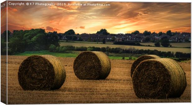 Bringing in the Harvest  Canvas Print by K7 Photography