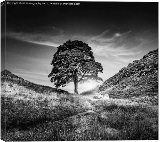 Sycamore Gap, Hadrians Wall, Iconic Northumberland Canvas Print by K7 Photography