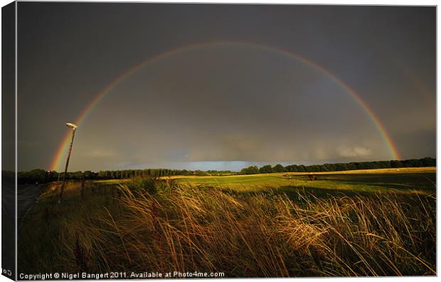 Rainbow over Harlow Common Canvas Print by Nigel Bangert