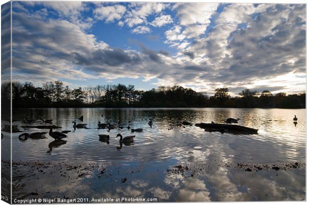 Lake Canvas Print by Nigel Bangert