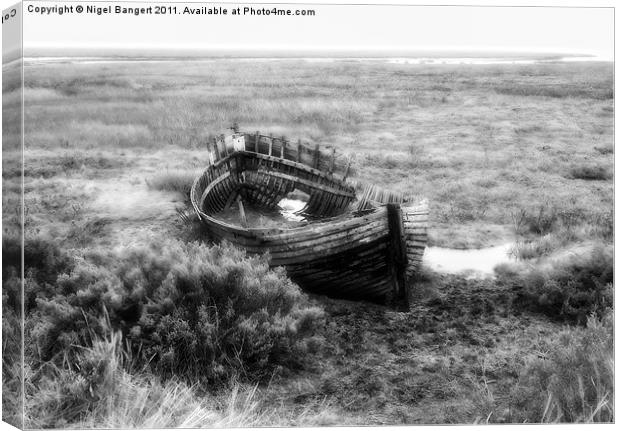 Shipwreck Canvas Print by Nigel Bangert