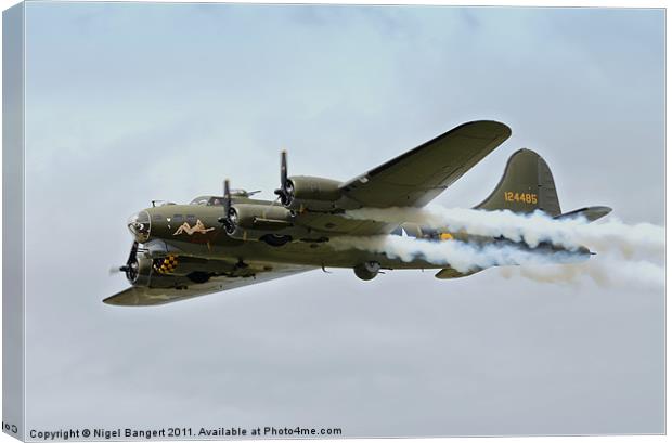 Sally B Canvas Print by Nigel Bangert