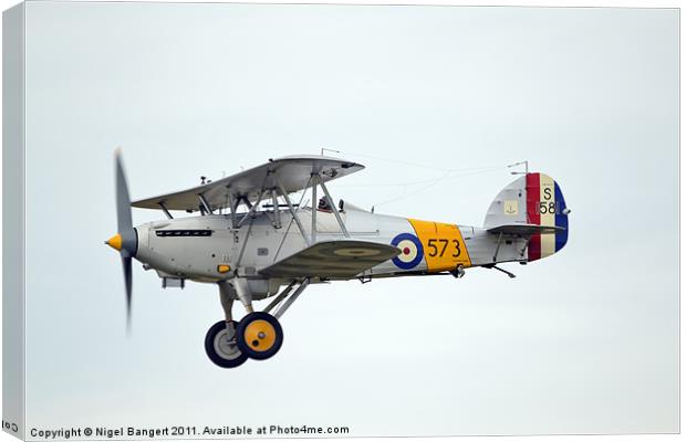 Hawker Nimrod S1581 Canvas Print by Nigel Bangert