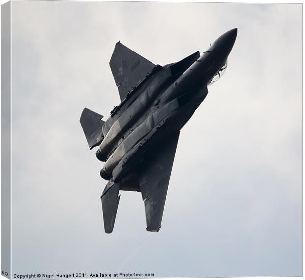 USAF F-15E Strike Eagle Canvas Print by Nigel Bangert