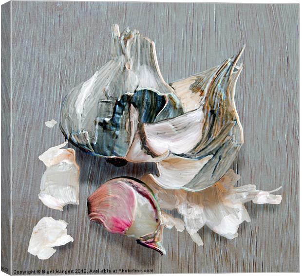 Garlic Canvas Print by Nigel Bangert