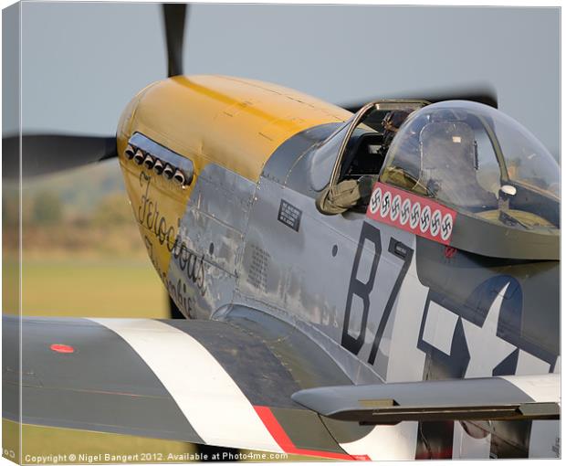 Ferocious Frankie Canvas Print by Nigel Bangert