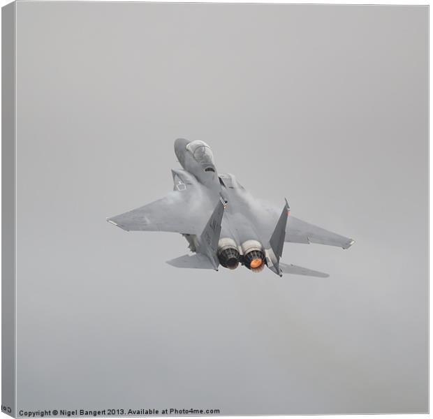 USAF F-15E Strike Eagle Canvas Print by Nigel Bangert