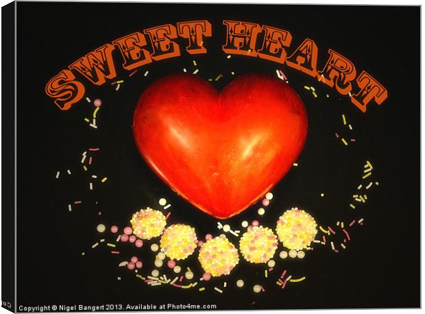 Sweet Heart Canvas Print by Nigel Bangert