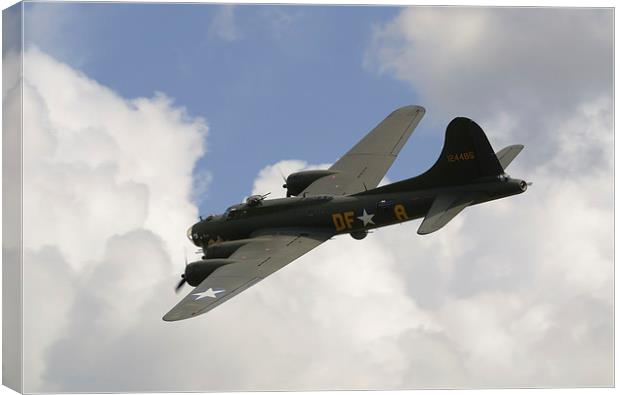 Sally B Canvas Print by Nigel Bangert