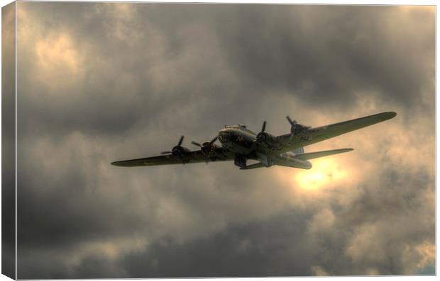 Sally B Canvas Print by Nigel Bangert