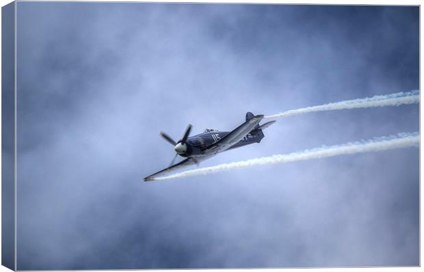 Hawker Sea Fury Canvas Print by Nigel Bangert