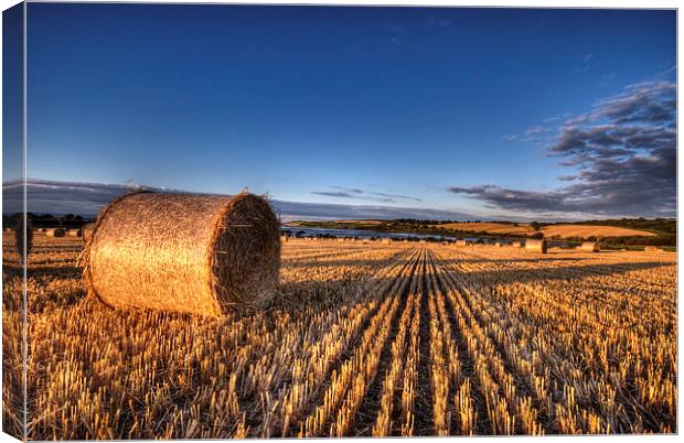 After the Harvest Canvas Print by Nigel Bangert