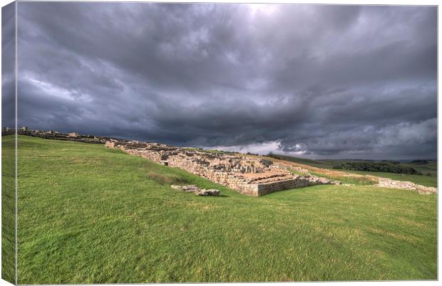 Hadrians Wall at Housesteads Canvas Print by Nigel Bangert