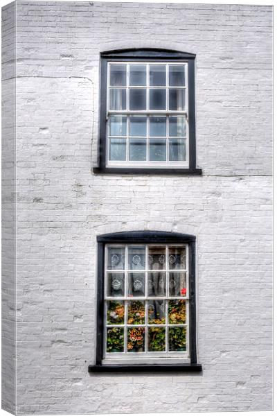 Geraniums in the Window Canvas Print by Nigel Bangert