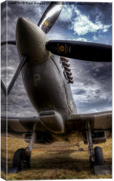  Supermarine Spitfire SM520 Canvas Print by Nigel Bangert