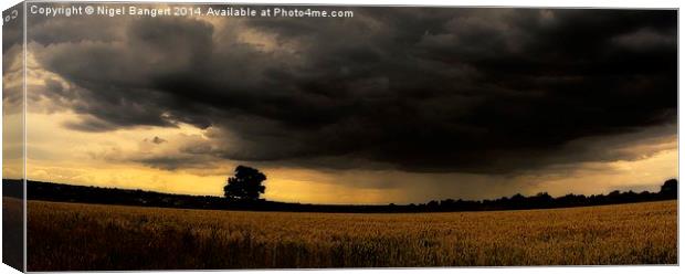  Gathering Storm Canvas Print by Nigel Bangert