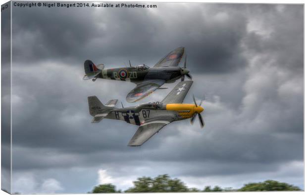  Frankie and Spitfire Canvas Print by Nigel Bangert