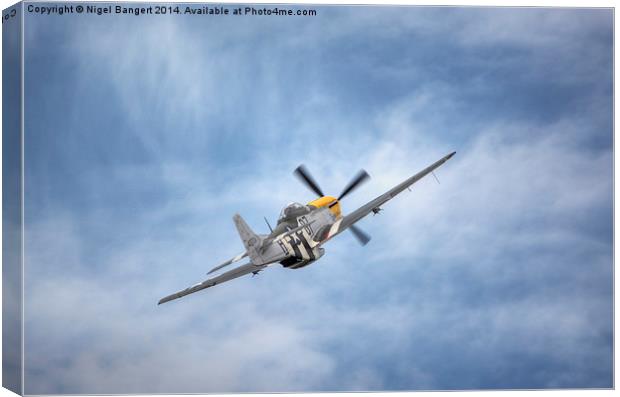  Ferocious Frankie Canvas Print by Nigel Bangert