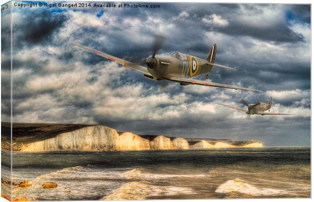  Coastal Patrol Canvas Print by Nigel Bangert