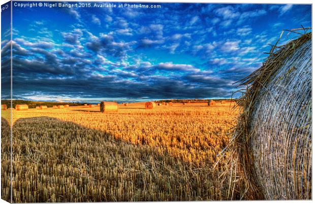  Bales Canvas Print by Nigel Bangert