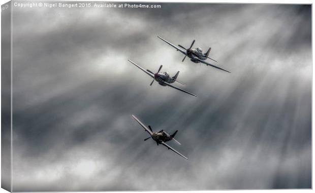  North American Mustangs Canvas Print by Nigel Bangert