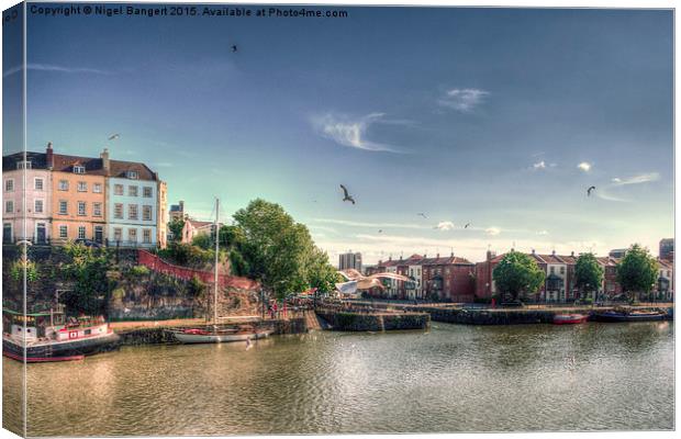 Feeding Gulls at the Docks Canvas Print by Nigel Bangert