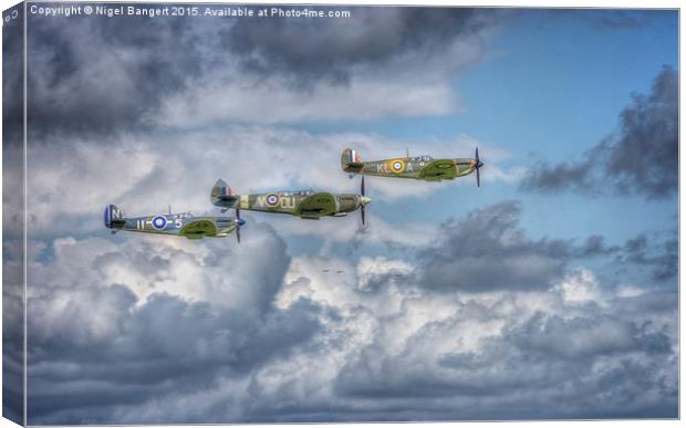  Battle of Britain Flypast at Goodwood Canvas Print by Nigel Bangert