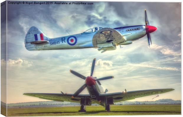  Supermarine Spitfire FR MkXVIIIe Composite Canvas Print by Nigel Bangert