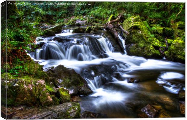 Golith Falls Canvas Print by Tom Maslen