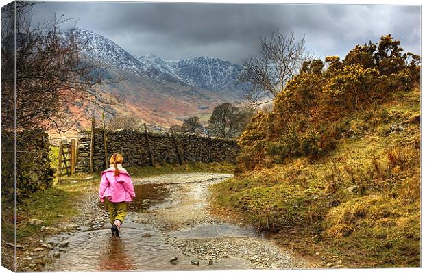 Little Girl Along The Lane Canvas Print by Donna Connolly