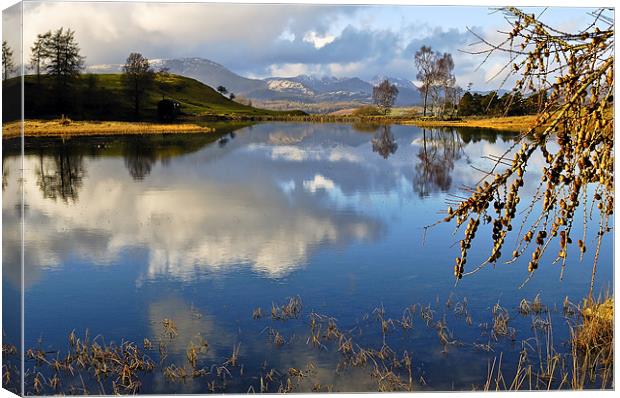 Wise Een Tarn Canvas Print by Donna Connolly