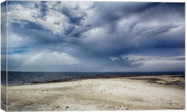 Summer Storm at Jervis Bay Canvas Print by Alison Johnston