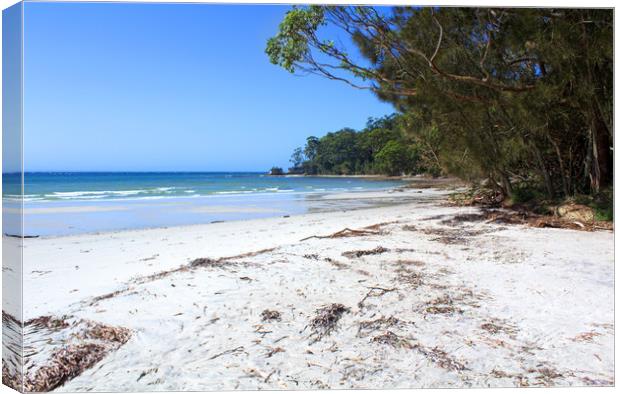 Hole in the Wall Beach Canvas Print by Alison Johnston