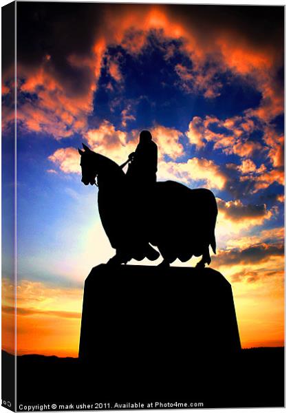 Robert The Bruce Canvas Print by mark usher