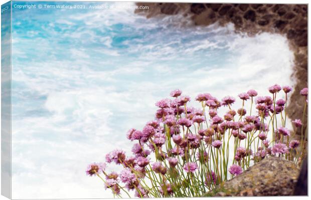 Thrift on the Coast Canvas Print by Terri Waters