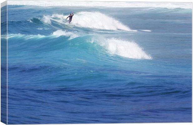 Catching A Wave Canvas Print by Terri Waters