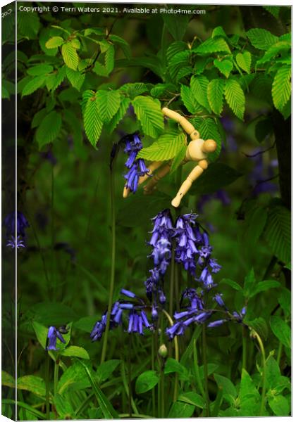 Picking Bluebells Canvas Print by Terri Waters