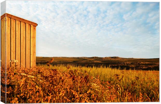 Evening Glow at West Pentire Canvas Print by Terri Waters