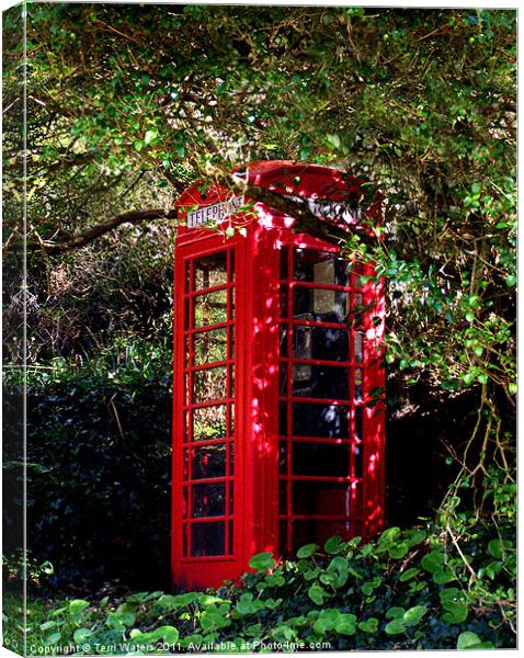 Penberth phone box Canvas Print by Terri Waters