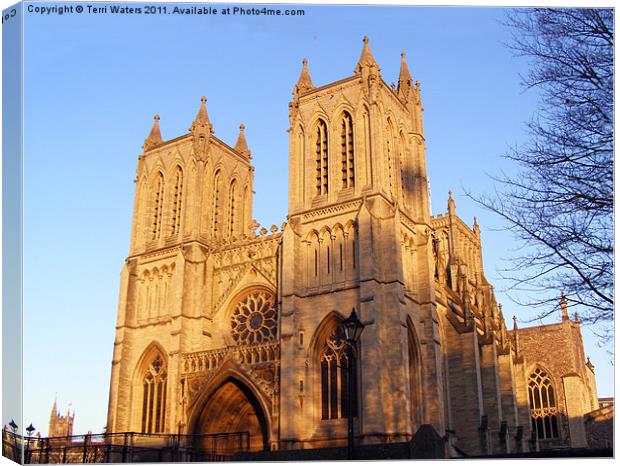 Bristol Cathedral Canvas Print by Terri Waters