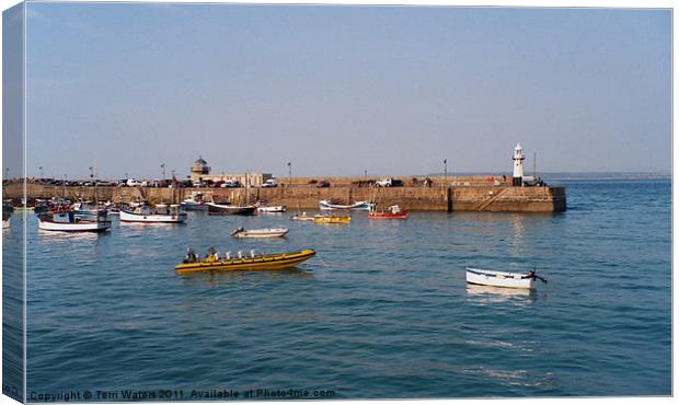 St Ives Lighthouse Smeaton's Pier Cornwall Canvas Print by Terri Waters