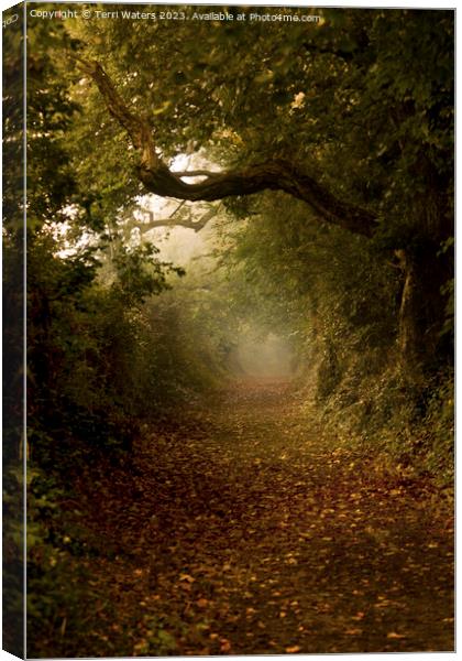 Autumn Tree Tunnel Canvas Print by Terri Waters