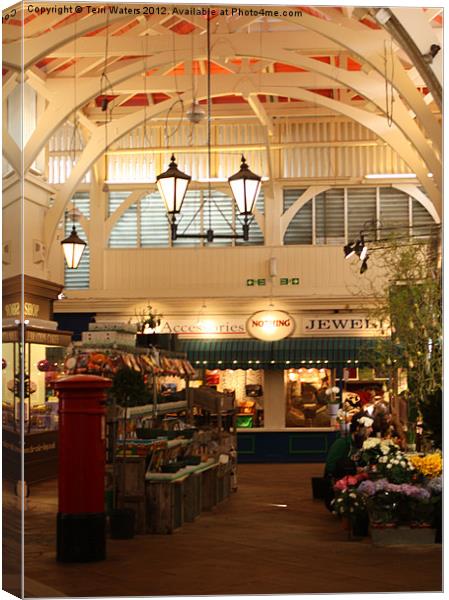 The Covered Market, Oxford Canvas Print by Terri Waters